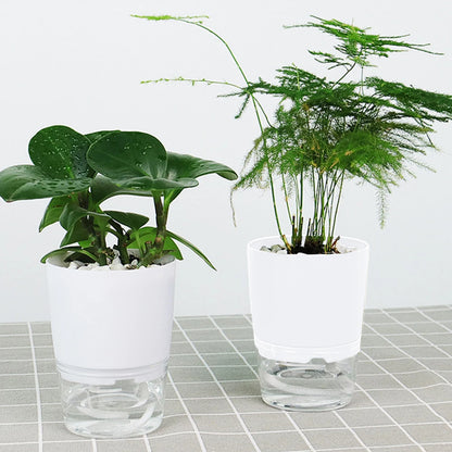 2-Layer Self-Watering Planter for Effortless Gardening | Olimar Shop