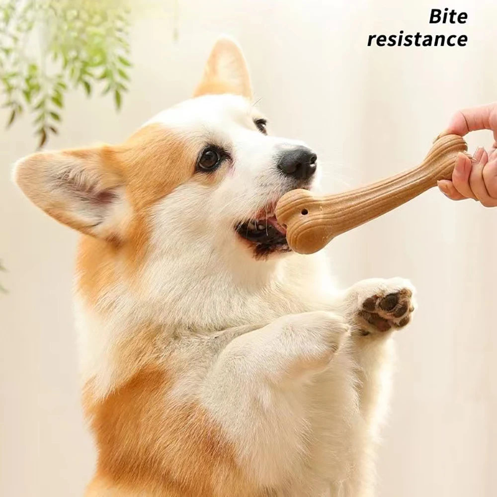 Bite Resistant Pet Dog Chew Toys for Strong Jaws | Olimar Shop