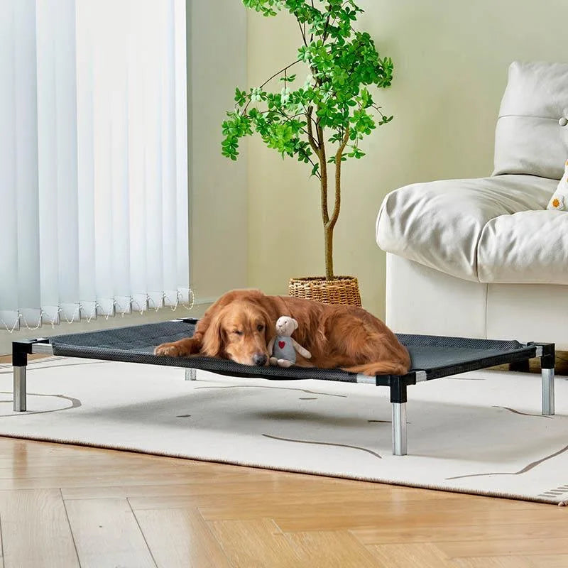 Orthopedic Dog Bed Elevated for Comfort | Olimar Shop