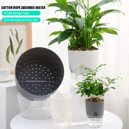 2-Layer Self-Watering Planter for Effortless Gardening | Olimar Shop